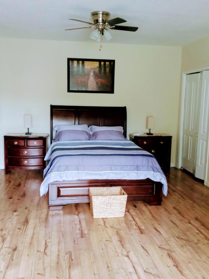 Tranquil Creekside Mountain View Getaway Lejlighed Clyde Eksteriør billede